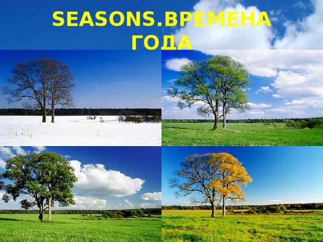 SEASONS.ВРЕМЕНА ГОДА 