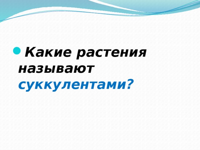 Какие растения называют суккулентами? 