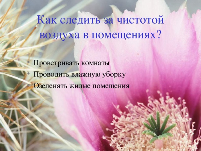 Как следить за чистотой воздуха в помещениях? Проветривать комнаты Проводить влажную уборку Озеленять жилые помещения Проветривать комнаты Проводить влажную уборку Озеленять жилые помещения 