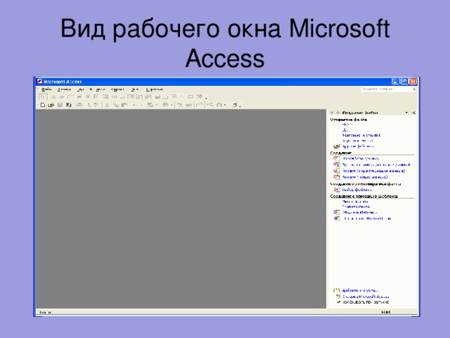 Вид рабочего окна Microsoft Access 