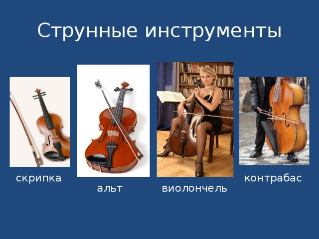 Струнные инструменты скрипка контрабас альт виолончель 
