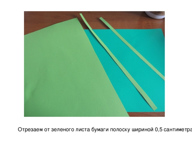 Отрезаем от зеленого листа бумаги полоску шириной 0,5 сантиметра. 