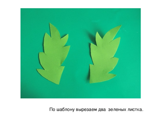 По шаблону вырезаем два зеленых листка. 