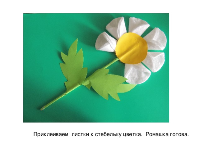 Приклеиваем листки к стебельку цветка. Ромашка готова. 