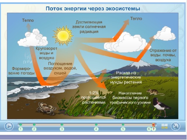 Поглощение воздуха водой. Поток энергии в экосистемах. Поток энергии в водных экосистемах. Распределение энергии в экосистеме. 20% Поглощается воздуха картинка схема.