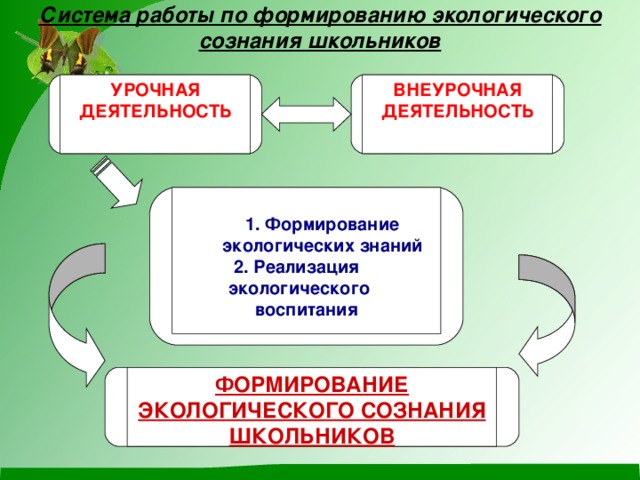 Экологическое сознание молодежи проект 9 класс