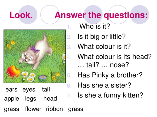 Look and answer the questions. Вопрос who is it. Ответ на вопрос what is it. Задания на who is it. Как ответить на вопрос what is it.