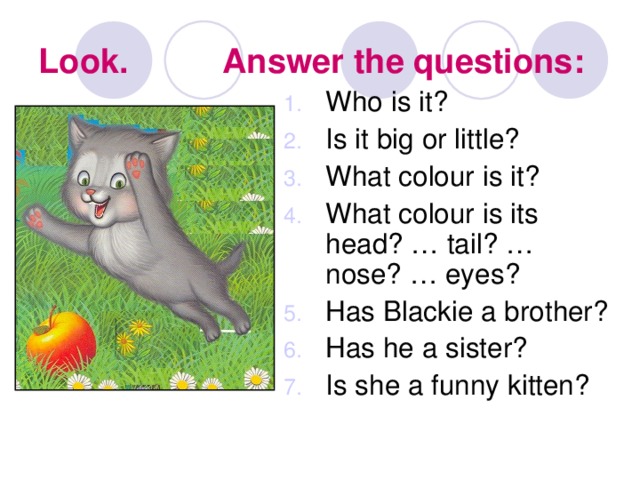 Look and answer the questions. What is it who is it. Вопрос what is it. Who is it ответ на вопрос. Вопросы who is it и what is it.