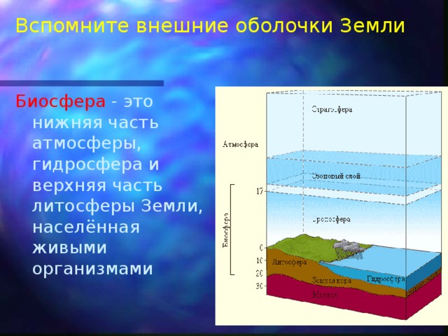 Вспомните внешние оболочки Земли Биосфера - это нижняя часть атмосферы, гидросфера и верхняя часть литосферы Земли, населённая живыми организмами 