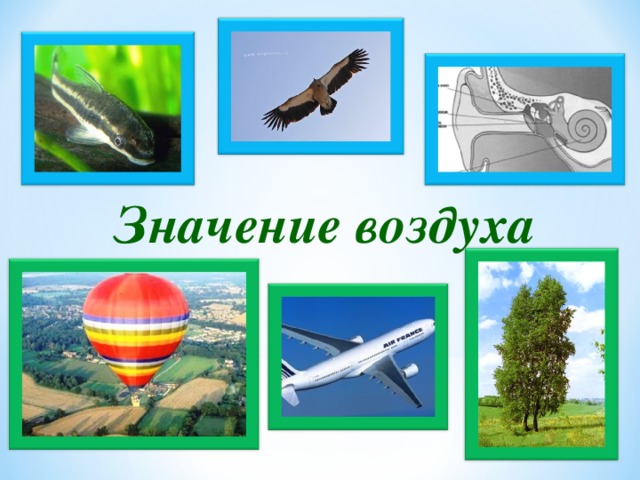 Значение воздуха. Значение воздуха рисунок из учебника. Аппликация значение воздуха для детей. Значение воздуха 5 класс экология. Значение воздуха для всего чужого.