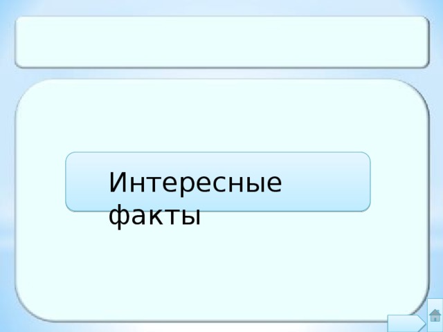 Интересные факты 