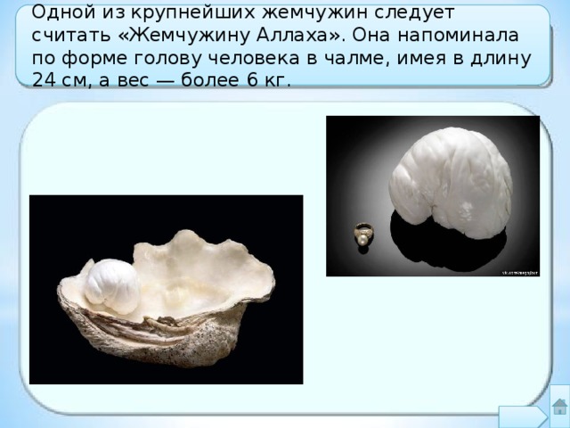 Одной из крупнейших жемчужин следует считать «Жемчужину Аллаха». Она напоминала по форме голову человека в чалме, имея в длину 24 см, а вес — более 6 кг. 