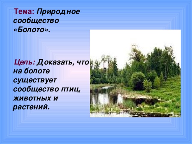 Презентация 3 класс природное сообщество болото 3 класс