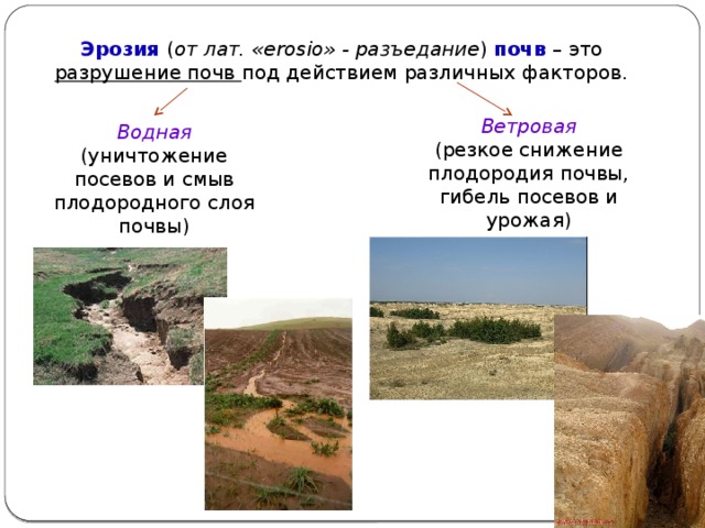 Мероприятия водной и ветровой эрозии. Ветровая эрозия. Ветровая эрозия почв.