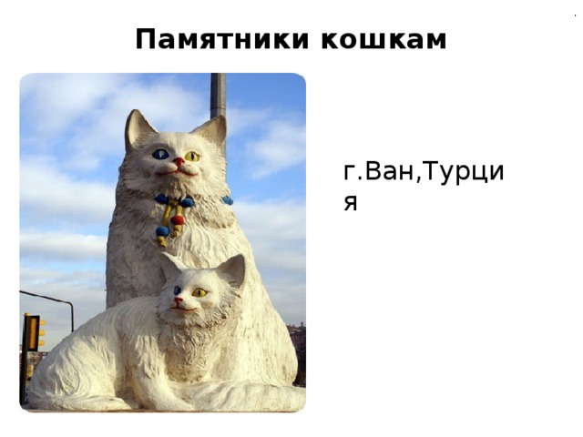 . Памятники кошкам   г.Ван,Турция 