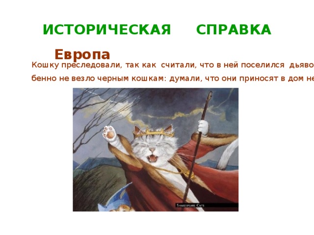 ИСТОРИЧЕСКАЯ СПРАВКА Европа Кошку преследовали, так как считали, что в ней поселился дьявол. Осо- бенно не везло черным кошкам: думали, что они приносят в дом несчастье. 