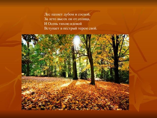 Лес пахнет дубом и сосной, За лето высох он от солнца, И Осень тихою вдовой Вступает в пестрый терем свой. 