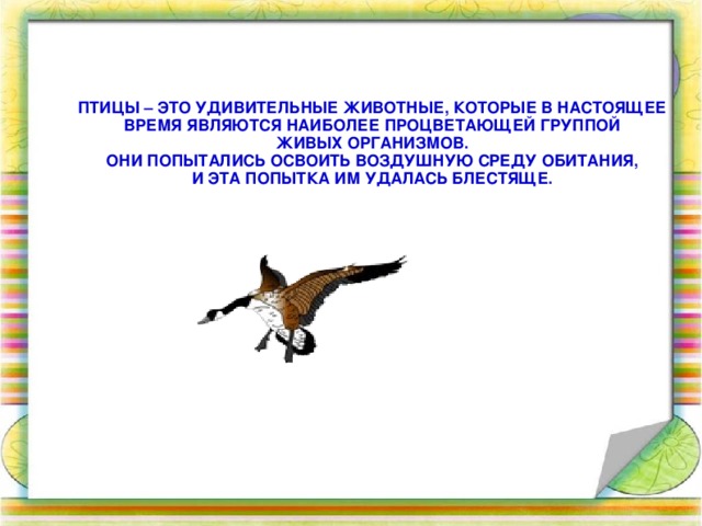ПТИЦЫ – ЭТО УДИВИТЕЛЬНЫЕ ЖИВОТНЫЕ, КОТОРЫЕ В НАСТОЯЩЕЕ ВРЕМЯ ЯВЛЯЮТСЯ НАИБОЛЕЕ ПРОЦВЕТАЮЩЕЙ ГРУППОЙ  ЖИВЫХ ОРГАНИЗМОВ. ОНИ ПОПЫТАЛИСЬ ОСВОИТЬ ВОЗДУШНУЮ СРЕДУ ОБИТАНИЯ, И ЭТА ПОПЫТКА ИМ УДАЛАСЬ БЛЕСТЯЩЕ. 