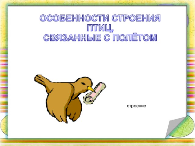 строение 