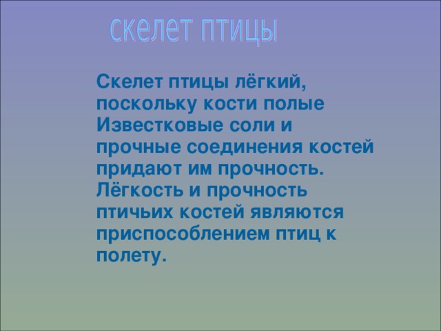 Скелет птицы лёгкий, поскольку кости полые Известковые соли и прочные соединения костей придают им прочность. Лёгкость и прочность птичьих костей являются приспособлением птиц к полету. 