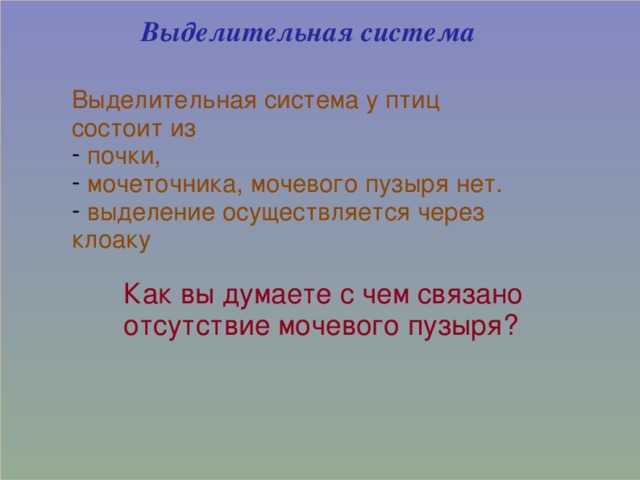 Выделительная система Выделительная система у птиц состоит из  почки,  мочеточника, мочевого пузыря нет.  выделение осуществляется через клоаку  Как вы думаете с чем связано отсутствие мочевого пузыря? 