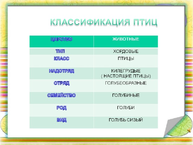 Завершите схему класс птицы систематическая группа признаки представители