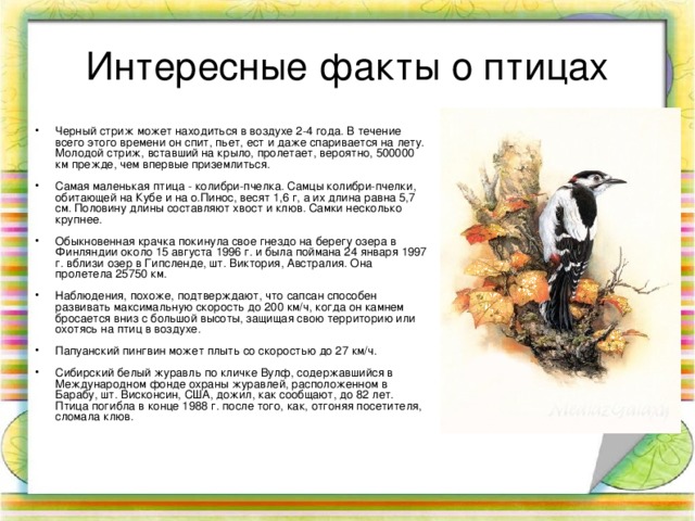 ЭТО ИНТЕРЕСНО… Птицы — третья группа животных, освоивших активный полет. КТО первыми поднялись в воздух? Сначала в воздух поднялись насекомые. Затем в мезозойскую эру к ним присоединились летающие ящеры — птерозавры. В наши дни лидеры среди летающих позвоночных — птицы. Есть еще и четвертая группа летающих животных.  Кто эти животные? 22 