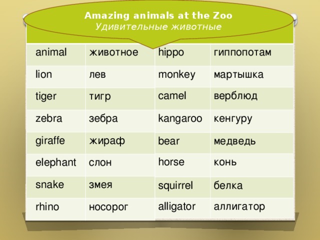  Amazing animals at the Zoo Удивительные животные   hippo  animal  lion животное monkey гиппопотам лев мартышка camel  tiger kangaroo тигр  zebra верблюд кенгуру bear  giraffe зебра horse медведь  elephant жираф слон конь squirrel  snake  rhino белка alligator змея носорог аллигатор  