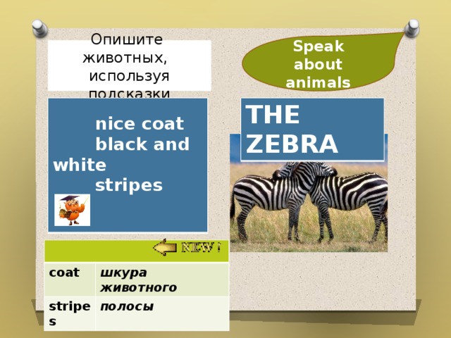 Speak about animals Опишите животных, используя подсказки  THE ZEBRA  nice coat  black and white  stripes  coat stripes шкура животного полосы 