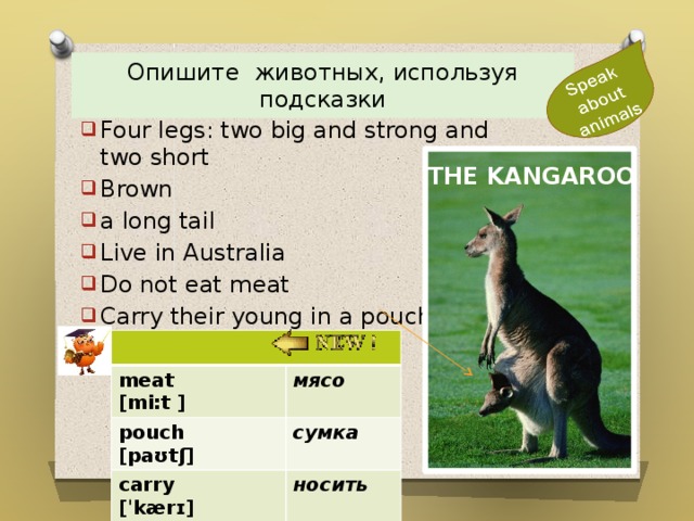 Опишите животных, используя подсказки Four legs: two big and strong and two short Brown a long tail Live in Australia Do not eat meat Carry their young in a pouch. THE KANGAROO meat [mi:t ] pouch [paʊtʃ] мясо сумка carry [ˈkærɪ] носить 