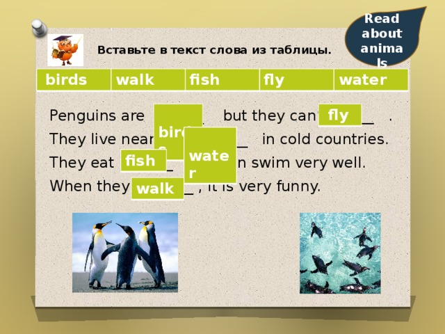  Read about animals Вставьте в текст слова из таблицы.  birds walk fish fly water Penguins are ______ but they can’t _____ . They live near the ______ in cold countries. They eat ______ and can swim very well. When they ______ , it is very funny.  birds  fly  water fish walk 