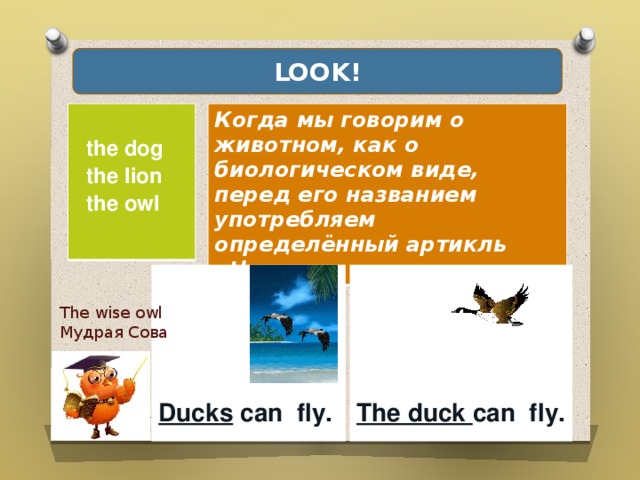 LOOK!  Когда мы говорим о животном, как о биологическом виде, перед его названием употребляем определённый артикль «the».   the dog  the lion  the owl             Ducks can fly. The duck can fly.   The wise owl Мудрая Сова  