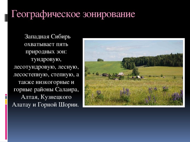 Географическое зонирование  Западная Сибирь охватывает пять природных зон: тундровую, лесотундровую, лесную, лесостепную, степную, а также низкогорные и горные районы Салаира, Алтая, Кузнецкого Алатау и Горной Шории. 