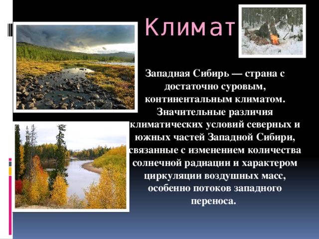 Чем отличается климат сибири. Климатические условия Сибири. Климат Западно сибирской равнины. Климат Западной сиьирской.