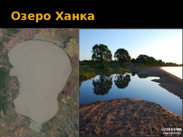 Значение озера ханка. Озеро ханка форма. Проект озеро ханка. Рельеф озера ханка. Реки впадающие в озеро ханка.