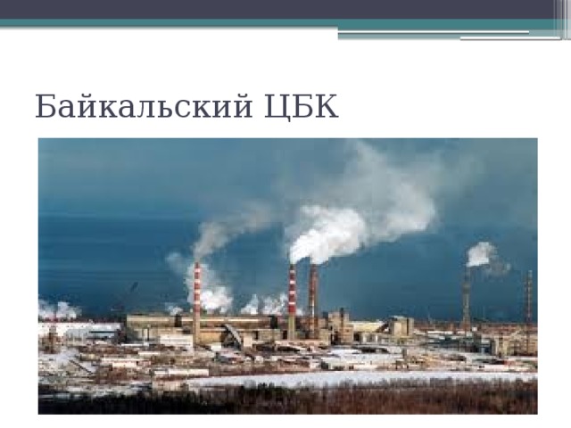 Байкальский ЦБК 