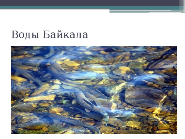 Воды Байкала 