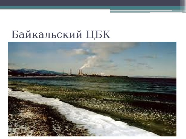 Байкальский ЦБК 