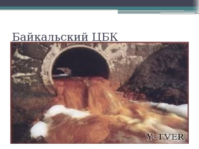 Байкальский ЦБК 