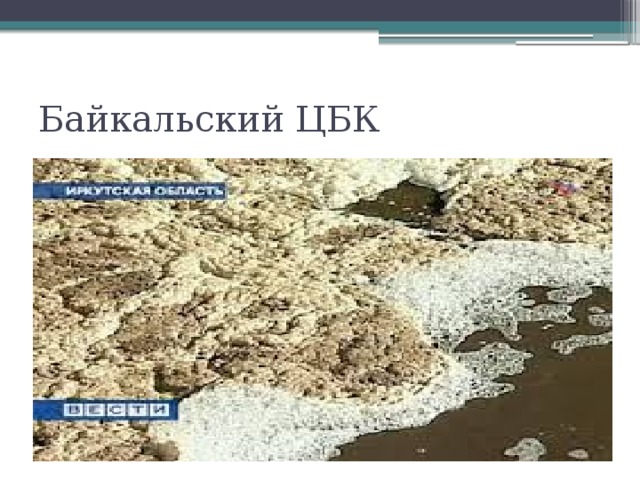 Байкальский ЦБК 