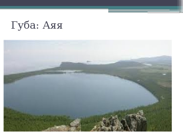 Губа: Аяя 