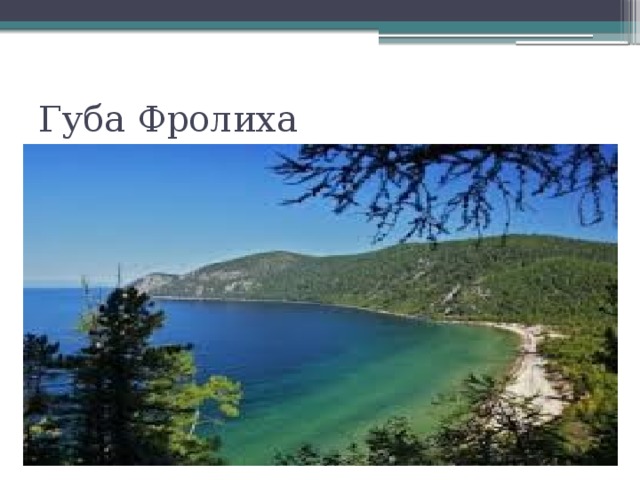 Губа Фролиха 