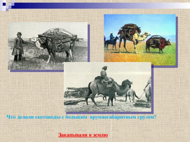 Что делали скотоводы с большим крупногабаритным грузом? Закапывали в землю 