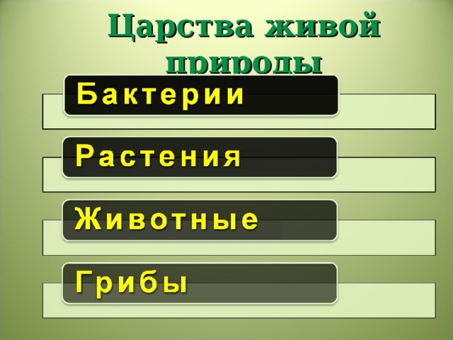 Царства живой природы 