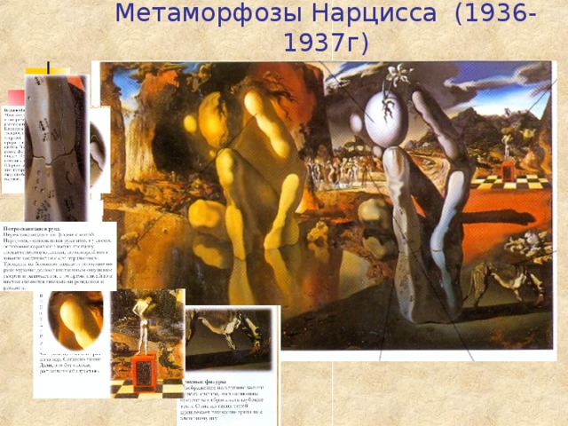 Метаморфозы Нарцисса (1936-1937г) 