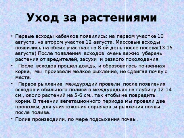 Уход за растениями Первые всходы кабачков появились: на первом участке 10 августа, на втором участке 12 августа. Массовые всходы появились на обеих участках на 8-ой день после посева(13-15 августа).После появления всходов очень важно уберечь растения от вредителей, засухи и резкого похолодания.  После всходов прошел дождь, и образовалась почвенная корка, мы произвели мелкое рыхление, не сдвигая почву с места.  Первое рыхление междурядий провели после появления всходов и обильного полива в междурядьях на глубину 12-14 см., около растений на 5-6 см., так чтобы не повредить корни. В течении вегетационного периода мы провели две прополки, для уничтожения сорняков ,и рыхления почвы после полива. Полив производили, по мере подсыхания почвы. 