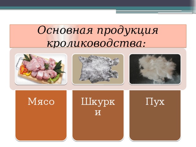 Полученный продукт. Продукция кролиководства. Виды продукции кролиководства. Кролиководство основная продукция. Кролиководство полученная продукция.