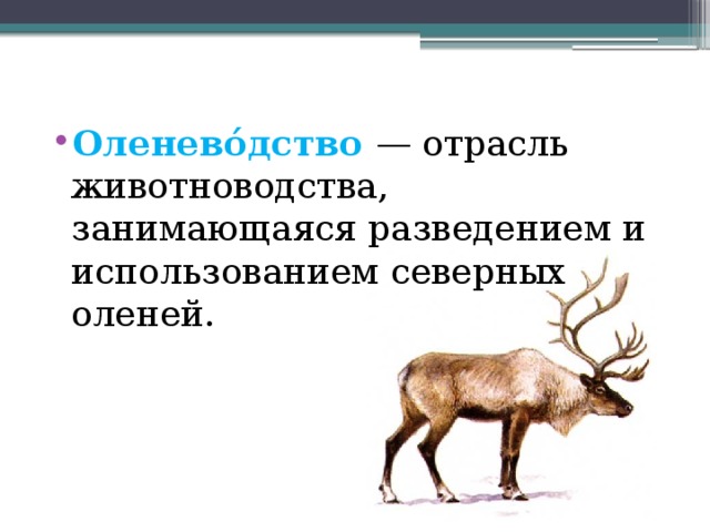 Отрасли оленеводства. Оленеводство отрасль животноводства. Оленеводство доклад. Оленеводство презентация. Оленеводство проект.