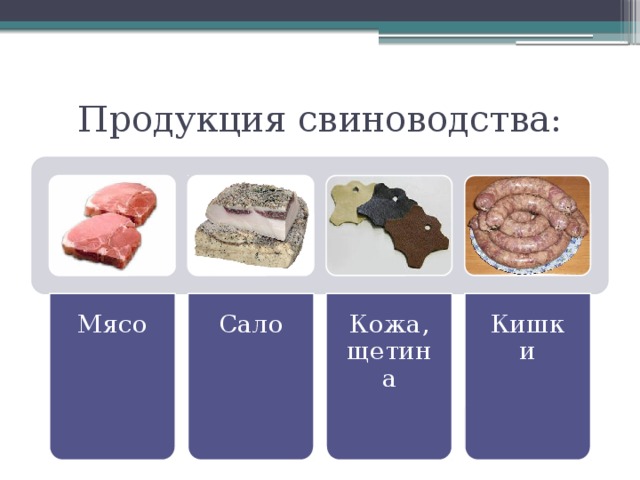 Основная продукция