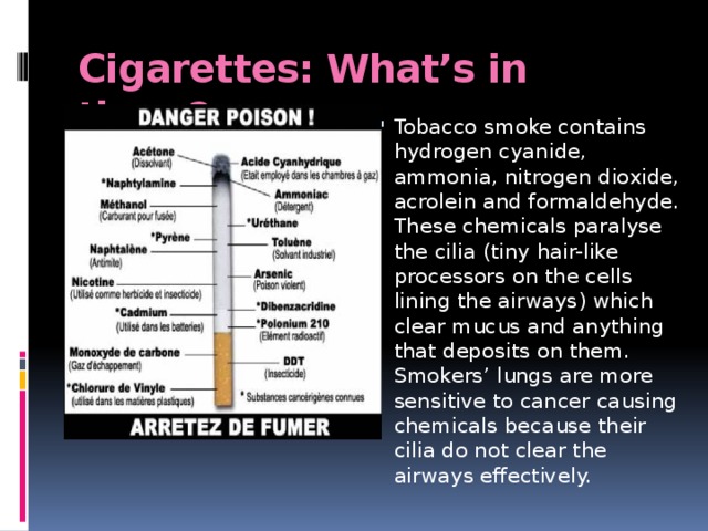 Cigarettes: What’s in them?   Tobacco smoke contains hydrogen cyanide, ammonia, nitrogen dioxide, acrolein and formaldehyde. These chemicals paralyse the cilia (tiny hair-like processors on the cells lining the airways) which clear mucus and anything that deposits on them. Smokers’ lungs are more sensitive to cancer causing chemicals because their cilia do not clear the airways effectively. 